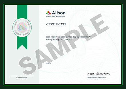 Digital Marketing Overview - Alison Certificate